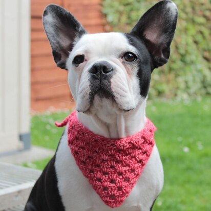 Roxy's Dog Bandana