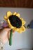 Sunflower amigurumi fidget toy