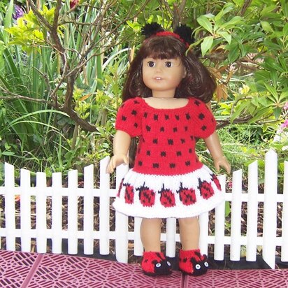 Ladybird Outfit