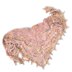 Sherbet Fizz Shawl