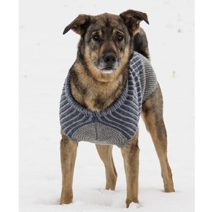 Bird Island Dog Sweater in Blue Sky Fibers Woolstok - 201610 - Downloadable PDF