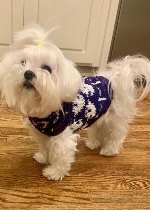 Get Ghosted Dog Sweater