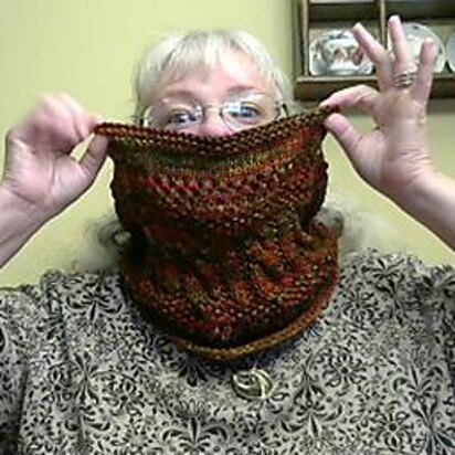 Basic Stitches Cowl