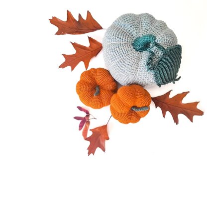 My Crochet Kitchen: Crown Prince Pumpkin