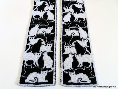 Herding Cats Scarf