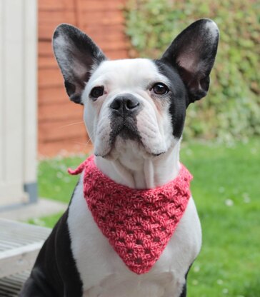 Roxy's Dog Bandana