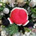 Stuck Santa