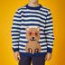 " Sailor Stripe and Buddy the Bear Sweater " - Free Sweater Knitting Pattern For Boys and Men in Paintbox Yarns Wool Mix Aran by Paintbox Yarns