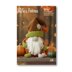 Pumpkin Gardner Gnome Crochet Pattern - 507