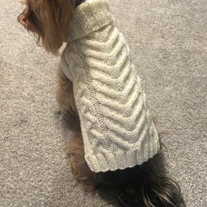 Aran Dog Sweater - knitting pattern