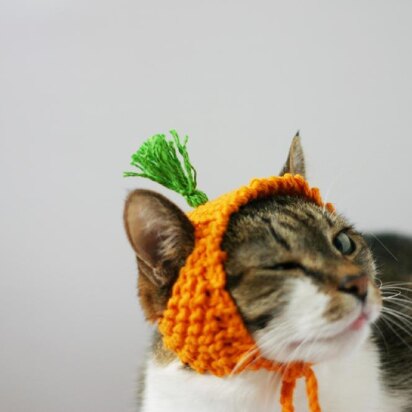 A Carrot Hat for a Cat - knitting pattern