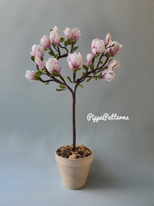 Magnolia