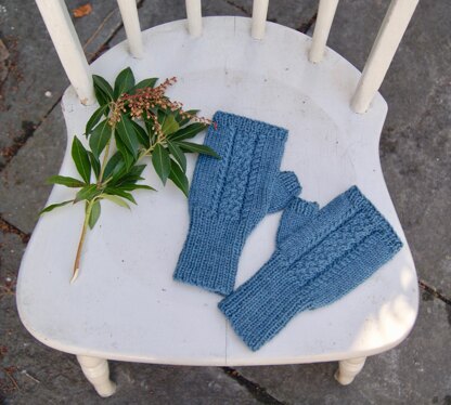 Blue Hill Mitts