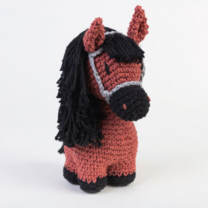 Hoooked  Eco Barbante - Pony Sienna - Brick - 20x9cm (Red)