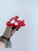 Fly Agaric mushrooms crochet penis