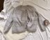 Cardigan FOURTEEN