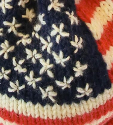 Amercian Flag Tea Pot Cosy