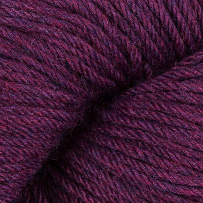 Dried Plum (5180)