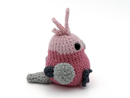 Galah Cockatoo