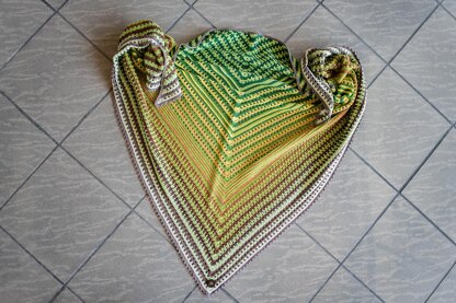 Cozy Delight Shawl