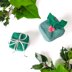 Holly & Ivy Gift Box (2-in-1)