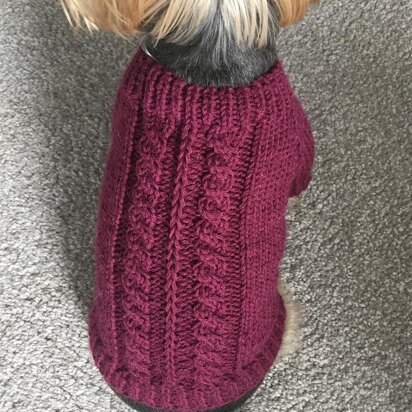Plum Dog Sweater - knitting pattern
