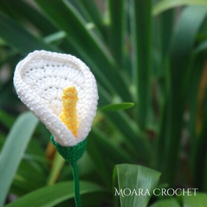 Crochet Calla Lily