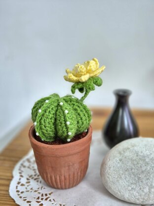 Cactus plant with flower