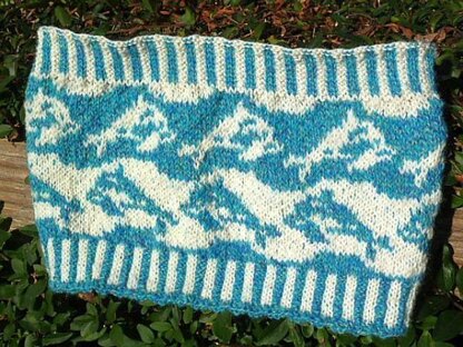 Dolphin cowl