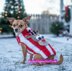 X-Small & Small Dog Christmas Sweater