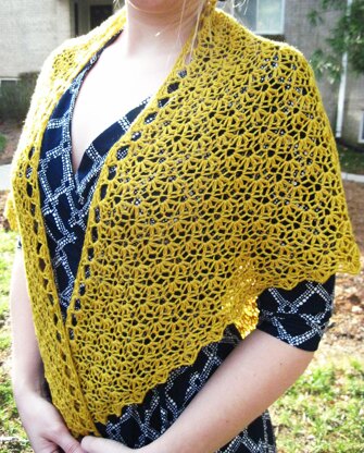 Aurelie Shawl