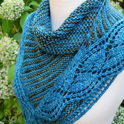 Robin Hill Shawl