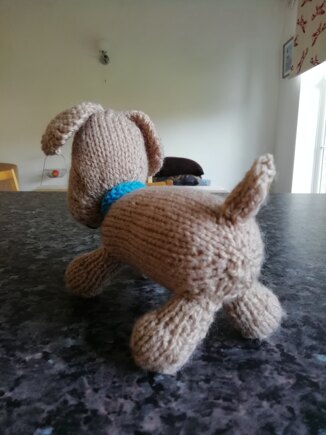 Puppy #3