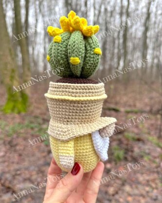 Gnome succulent (cactus)