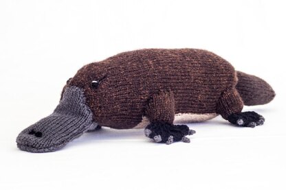 Australian Platypus