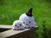 Halloween Ghost Amigurumi