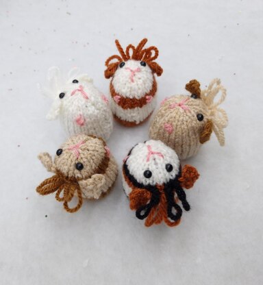 Guinea Pig Creme Egg Cosy