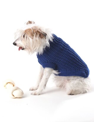 Knit Dog Coat in Bernat Super Value