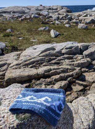 Le Col vague de Peggy’s Cove (FR)