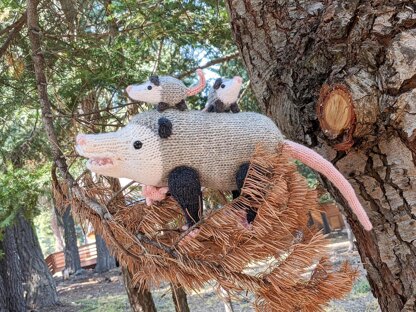 Opossum Family