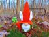 Gnome carrot