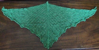 Caleta Tortuga Shawl