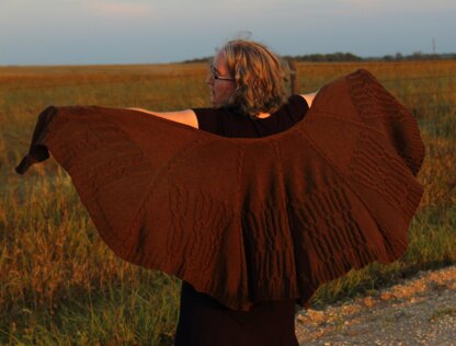 Ren Fest Shawl