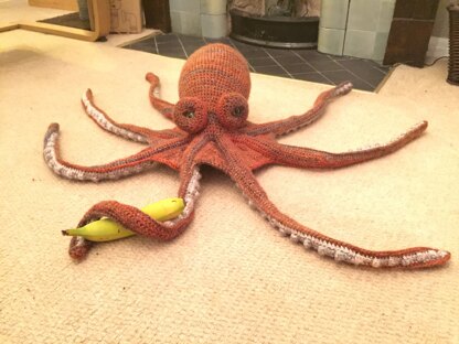 Octopus