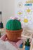 Cactus pin cushion with storage box