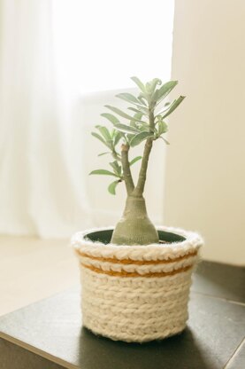 The Sunny Day Planter Baskets