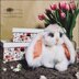 Bunny Amigurumi Crochet CTW