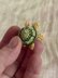 Sea Turtle Sweetie