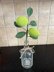 Lemon/Lime Sprig Crochet pattern - UK terms