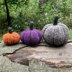 Pumpkin Patch Family [crochet]